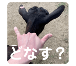 528467290
