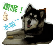 528481245