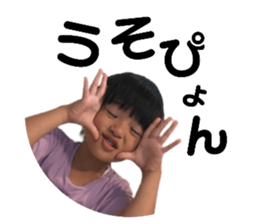 528493099