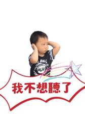 52856501