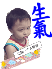 52856504