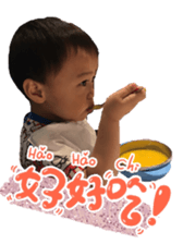 52856508