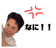 528575954