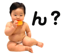 528576259