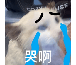 528581434