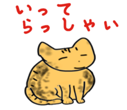 5285821