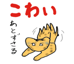 5285838