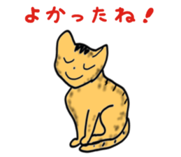5285843
