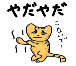 5285854