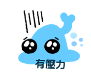 528586362