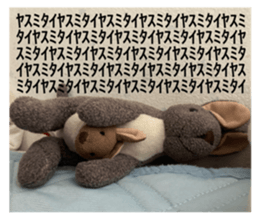 528592474