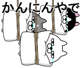 528601491