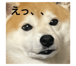 528601742