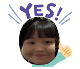 528607647