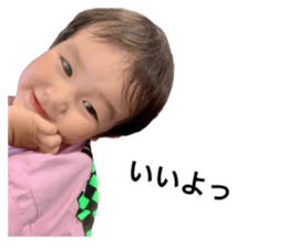 528643041