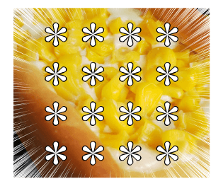528645254