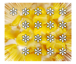 528645259