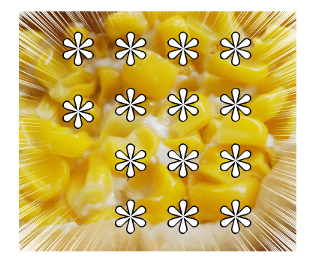 528645261