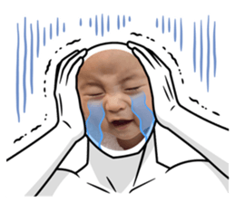 528650185