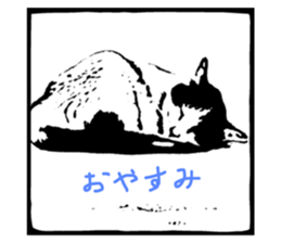 528660055