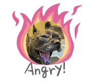 528664657