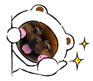 528664674