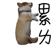 528673215