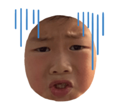 528690663
