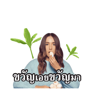 GMM คาราโอเกะ รวมฮิต เพลงรัก เพลงเศร้า รูปที่ 24