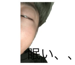 528740491
