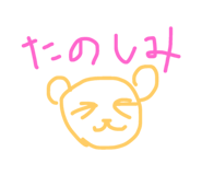 52874096