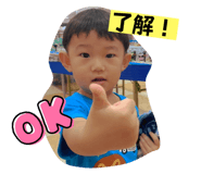 528743792