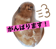 528743798