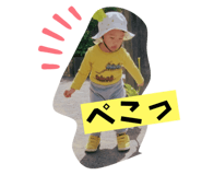 528743815
