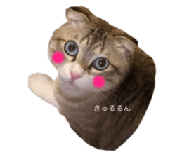 528745995