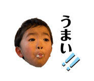 528748710