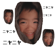 528748717