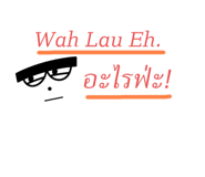 528767019