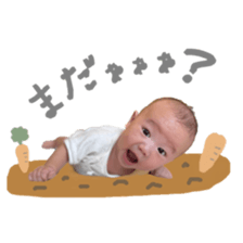 528780902
