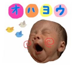 528786016