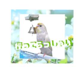 528789563