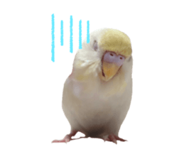 528789586