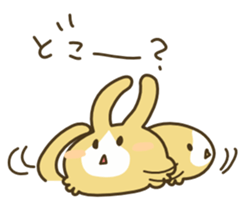 5287902