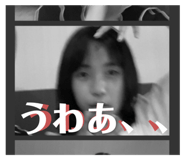 528794013