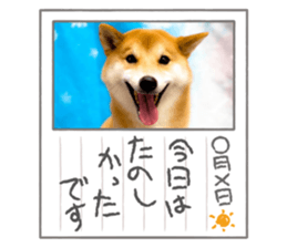 528794130