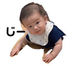 528801174