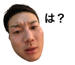 528884178