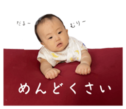 528908143