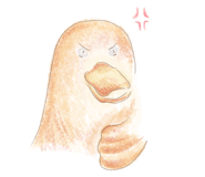 528940525