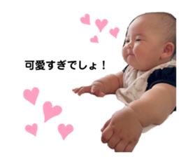 528949534